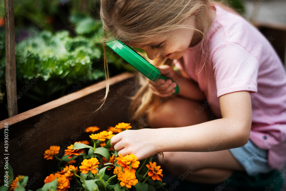 Little girl observing the flowers