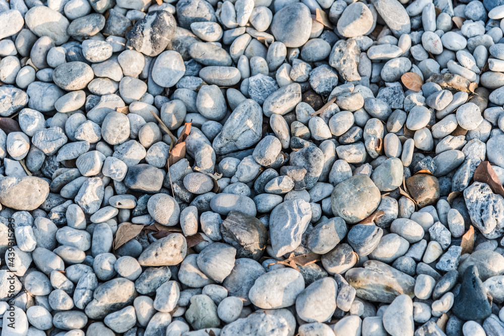 Pebbles and rocks on teh ground