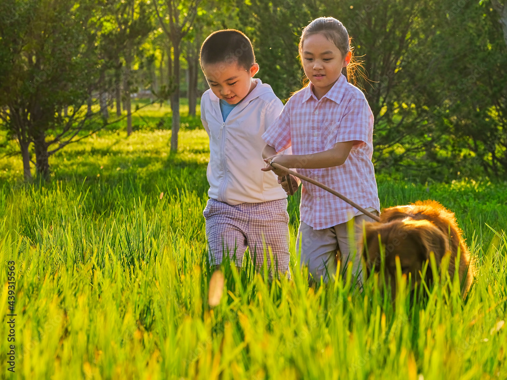 Two happy children walking dogs in the park