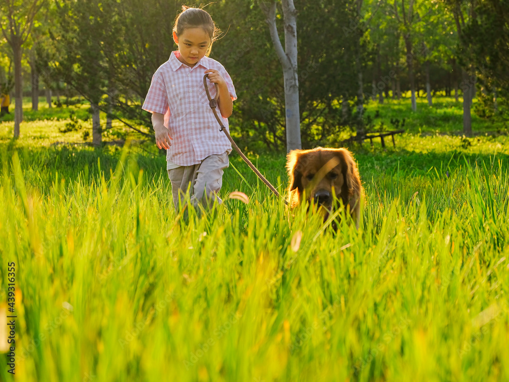 The happy little girl walks her dog in the park