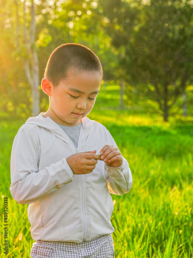 The happy little boy is playing in the park