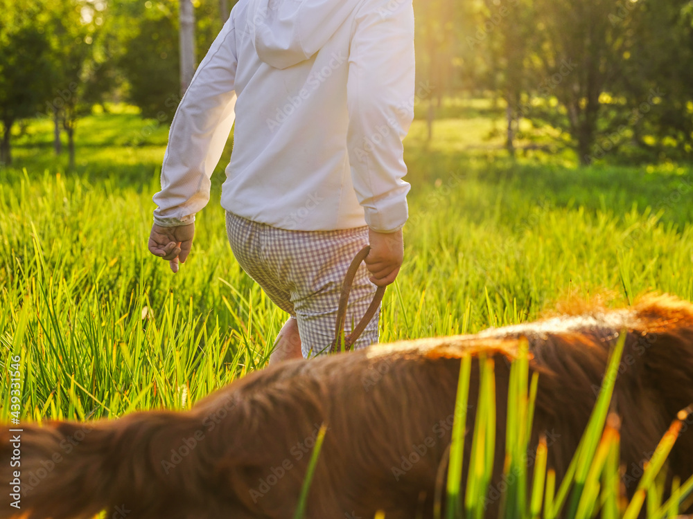 The happy little boy walks his dog in the park