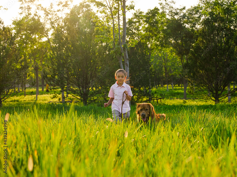 The happy little girl walks her dog in the park