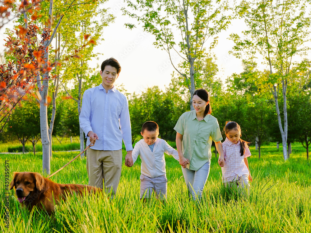 Happy family of four walking dogs in the park