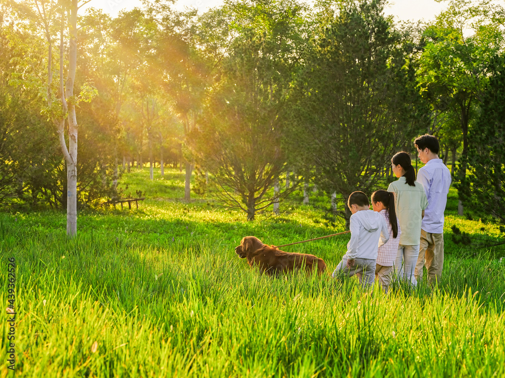 Happy family of four walking dogs in the park