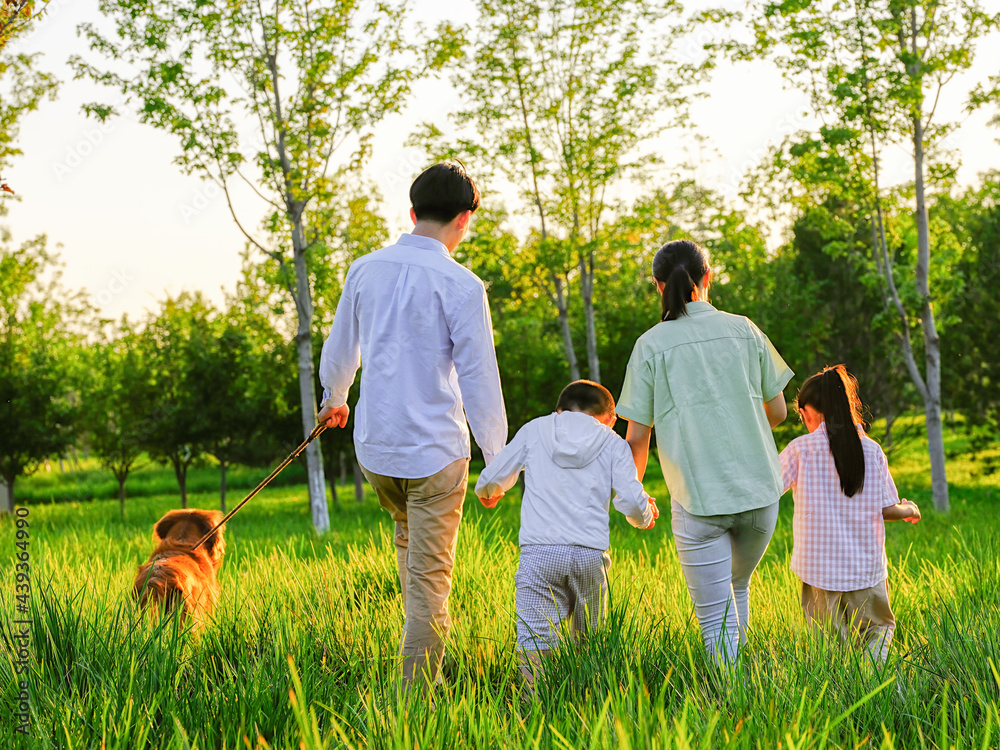 Happy family of four walking dogs in the park