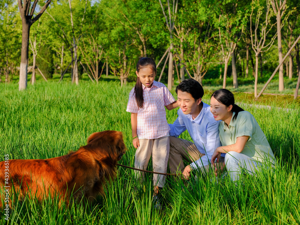 Happy family of three and pet dog playing in the park