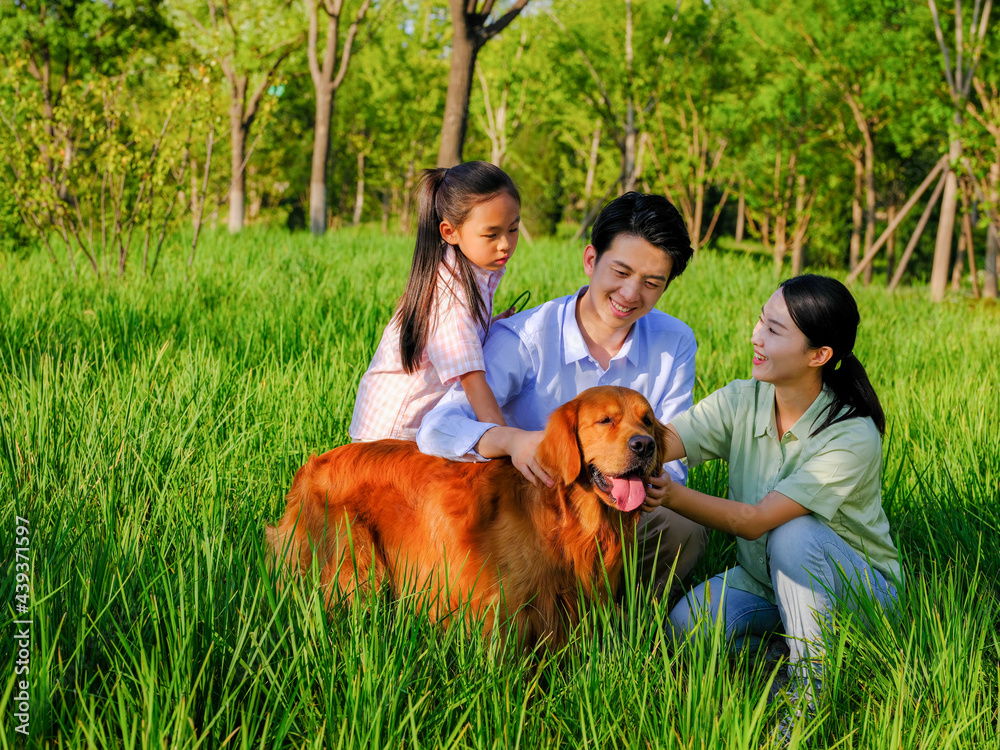 Happy family of three and pet dog playing in the park