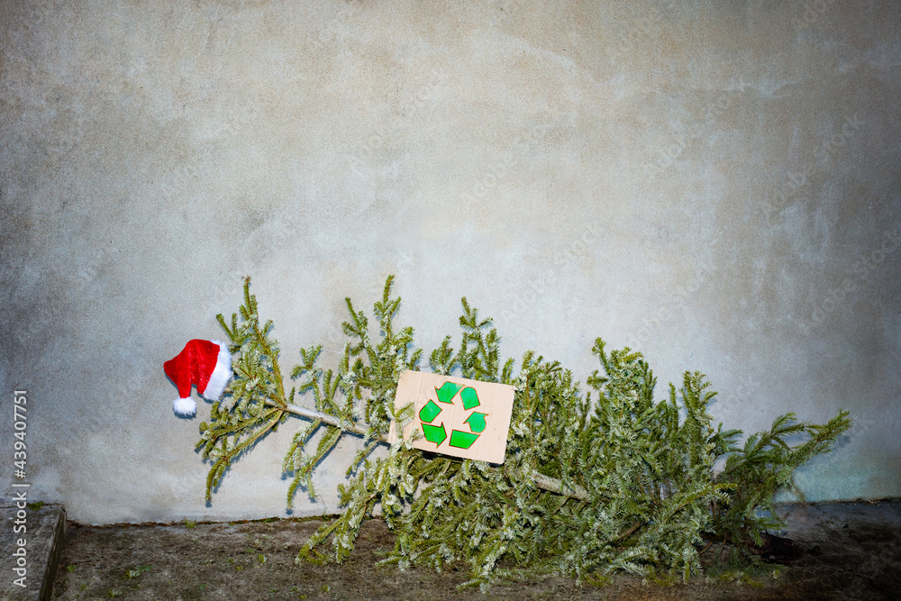 New year tree after celebration recycling concept