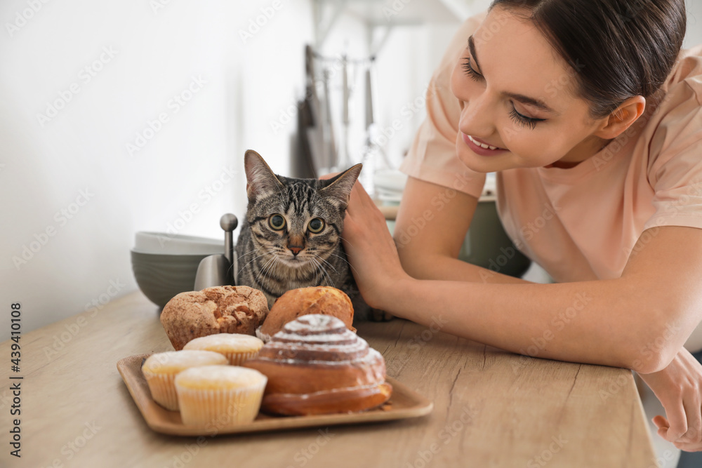 美丽的年轻女人和可爱的猫在厨房