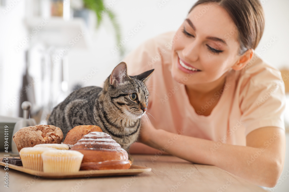 美丽的年轻女人和可爱的猫在厨房