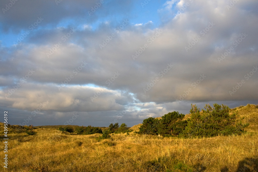 Duinen Posthuis Vlieland，Dunes Posthuis V lieland，荷兰