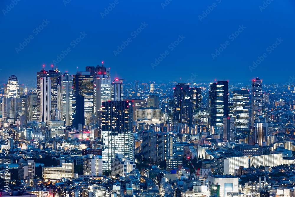 灯りが綺麗な夜の東京の景色