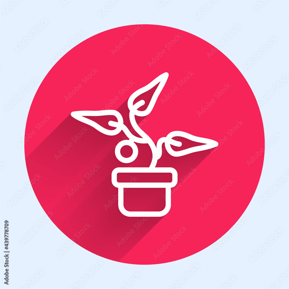 White line Plant in pot icon isolated with long shadow. Plant growing in a pot. Potted plant sign. R