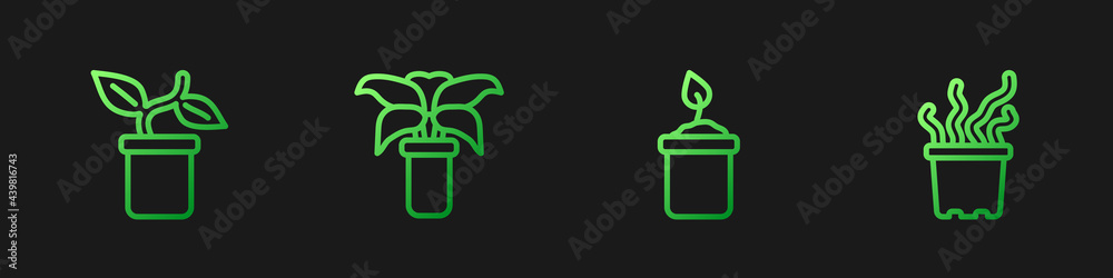 Set line Sprout in bottle, Plant pot, Exotic tropical plant and . Gradient color icons. Vector