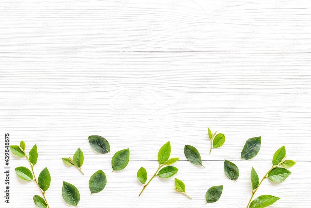 Green leaf branches top view. Floral pattern background