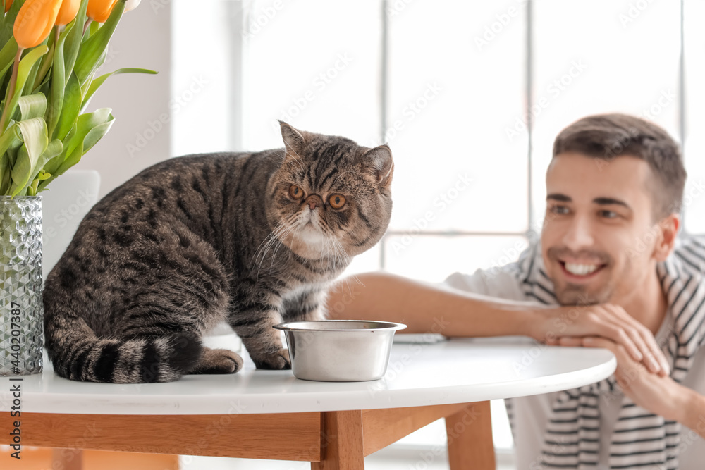 厨房里有食物的碗附近有一个年轻人和一只可爱的猫