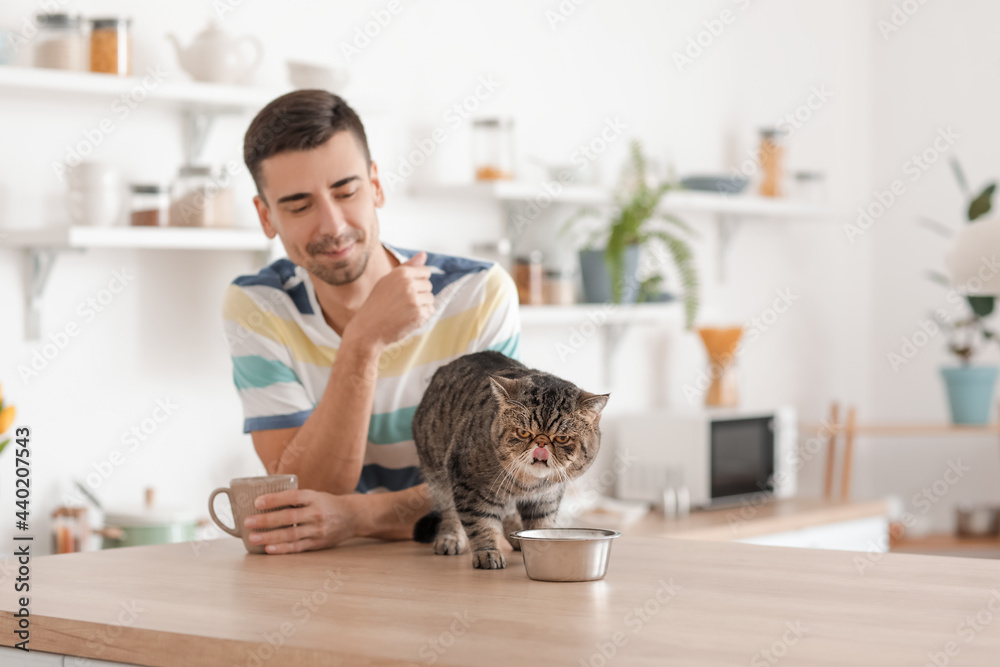 年轻人和可爱的猫在厨房里用碗吃饭