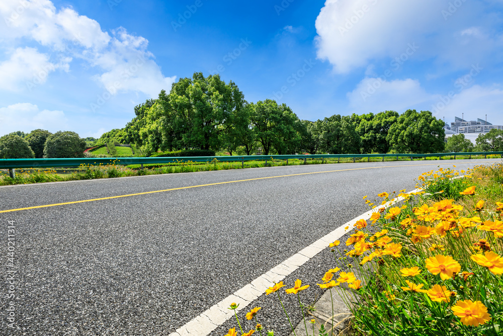 沥青路和绿色森林自然风景。公路和自然背景。