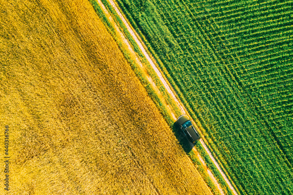 Aerial View Of Car SUV Parked Near Countryside Road In Spring Field Rural Landscape. Car Between You