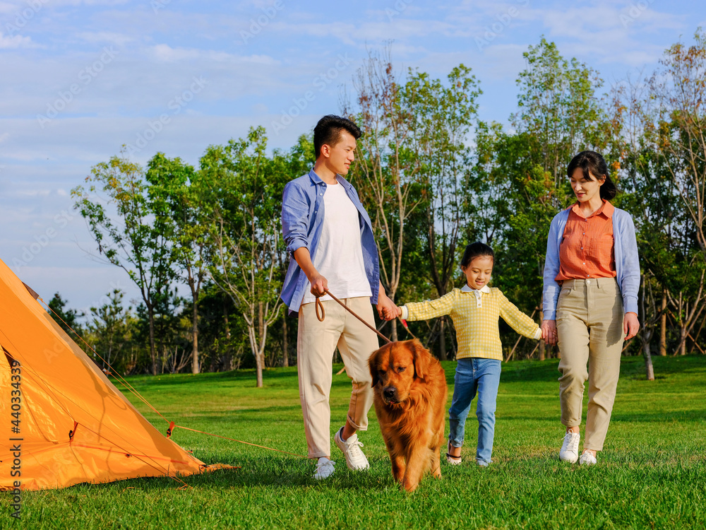 A happy family of three walking dogs in the park