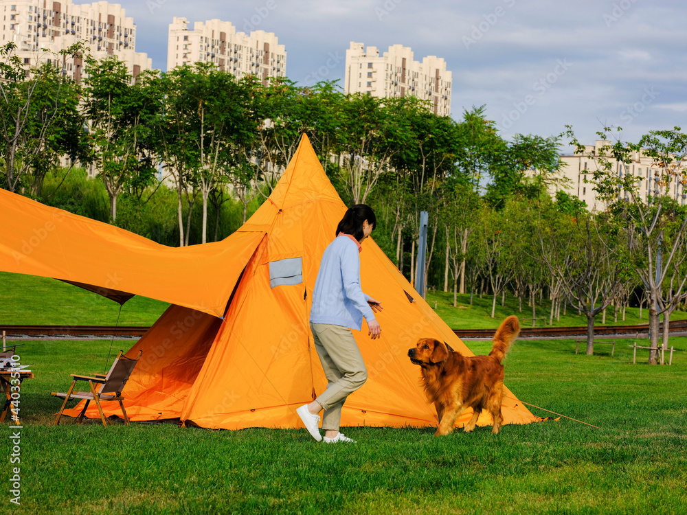 Young beauties are playing with pet dogs in the park