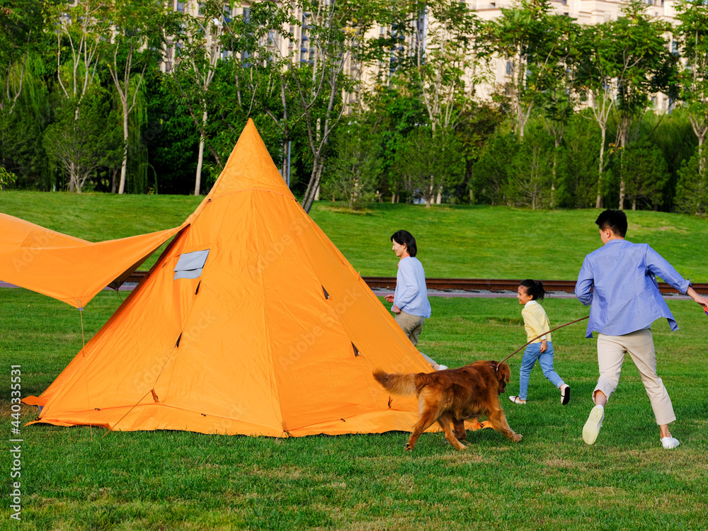 Happy family of three and pet dog playing in the park