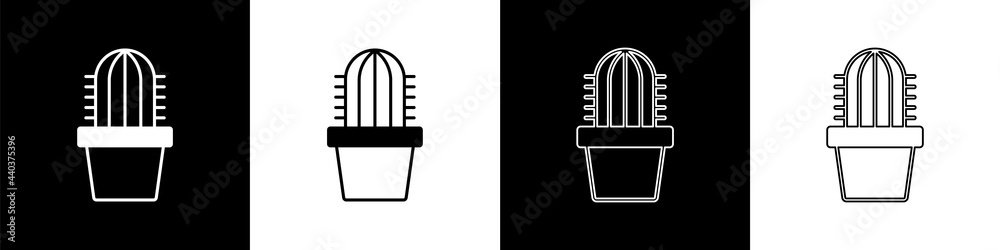 将仙人掌佩约特放在黑白背景上隔离的花盆图标中。植物生长在花盆中。盆栽