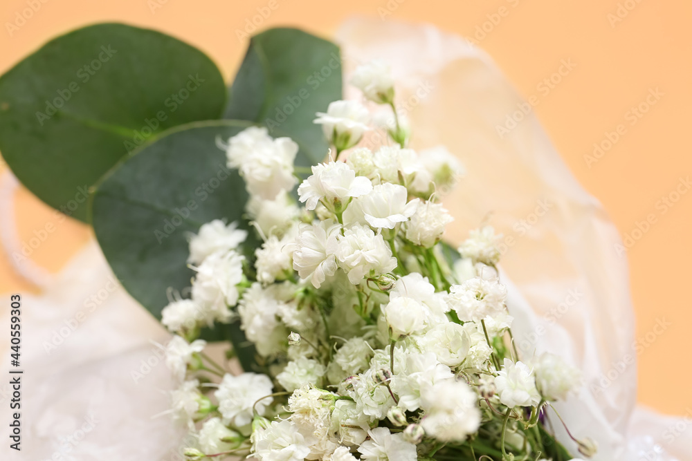 美丽的gypsophila boutonniere，彩色背景，特写