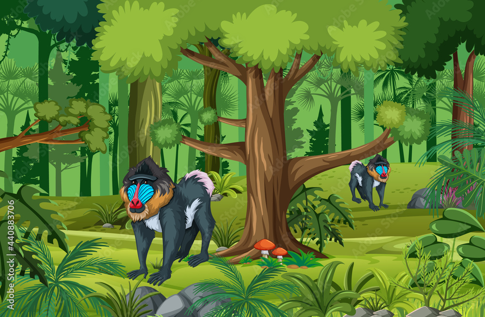 Tropical rainforest scene with mandrill family