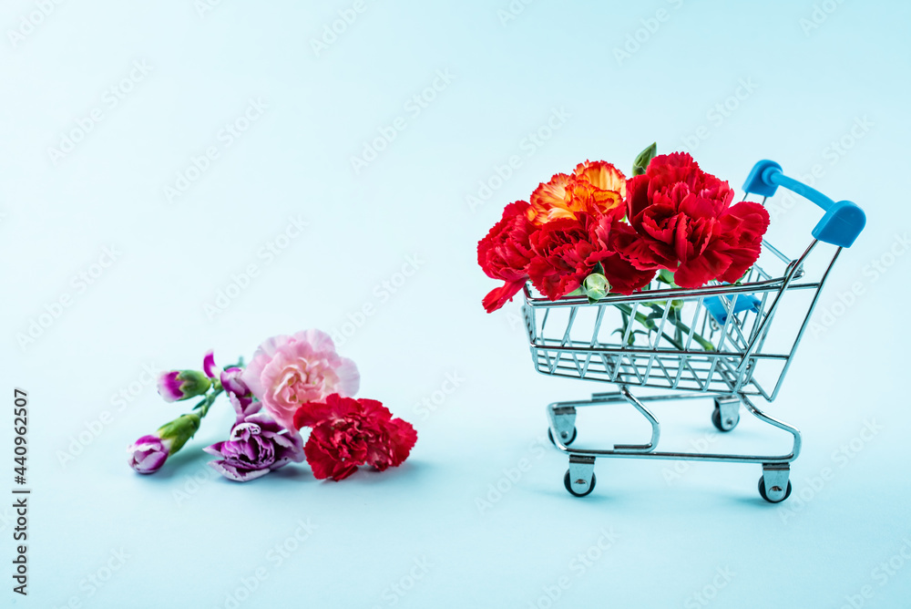 Carnation flowers and shopping cart