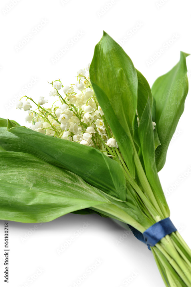 Beautiful lily-of-the-valley flowers on white background, closeup