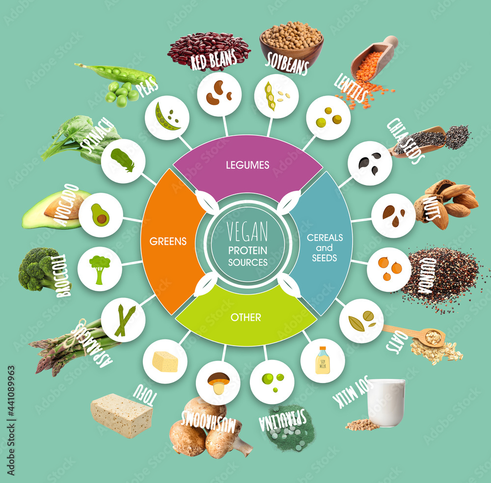 彩色背景上的纯素食蛋白质来源集
