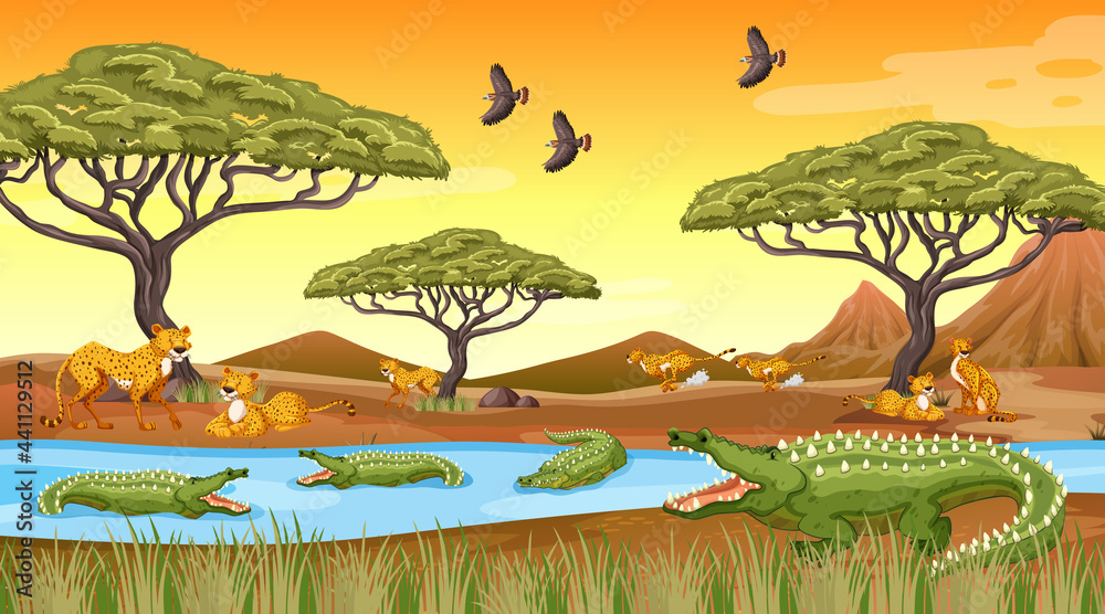 African forest landscape background