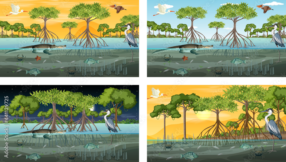 Different mangrove forest landscape scenes with animals and plants