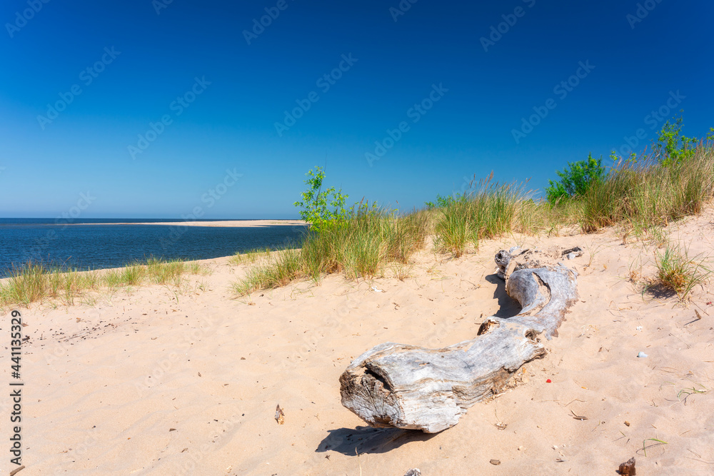 波兰波罗的海夏季美丽的海滩