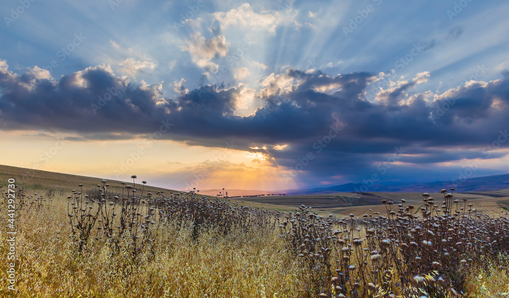 Sunset in the mountains in summer