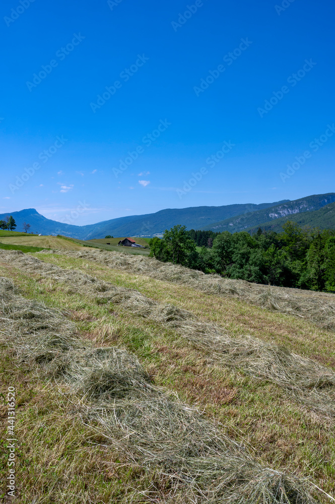 法国阿尔卑斯山上萨瓦包日山丘上的山地付款