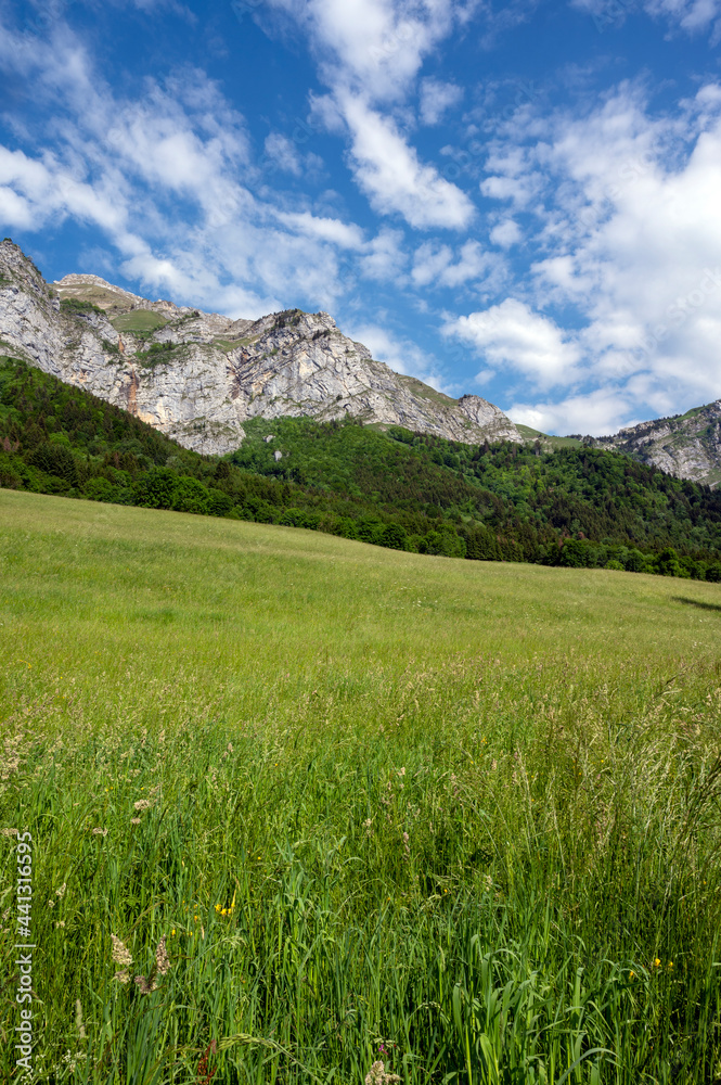 Paysage autour du village de La Compôte dans le massif des Bauges en Savoie dans les Alpes en france