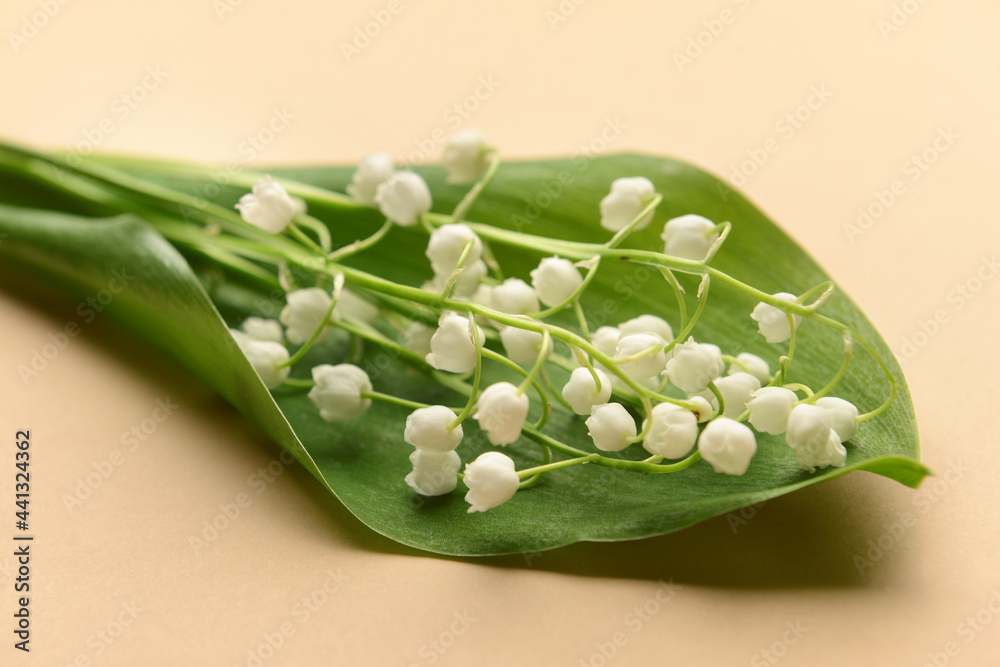 Beautiful lily-of-the-valley flowers on color background