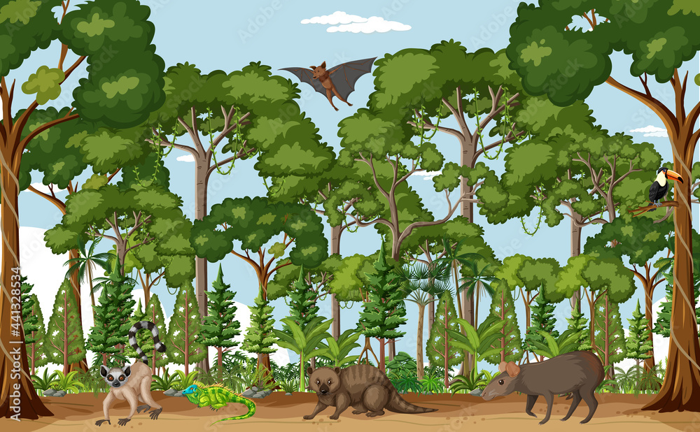 Tropical rainforest scene with various wild animals