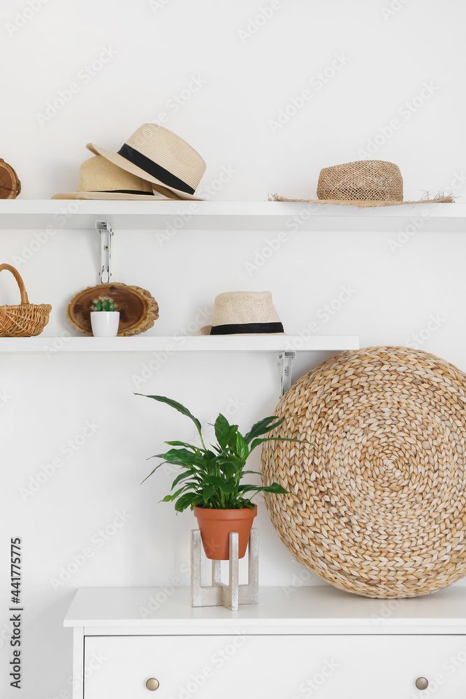 Shelves with hats hanging on light wall