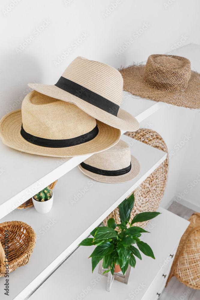 Shelves with hats and houseplants hanging on light wall