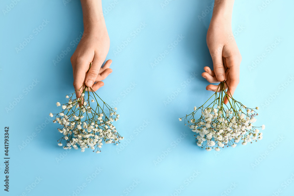 Female hands with beautiful gypsophila flowers on color background