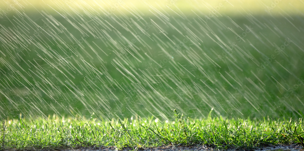 天气预报雨点落在绿草上