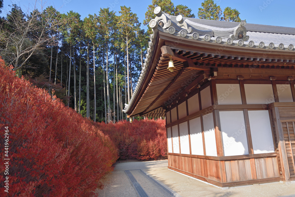 呑山観音寺「大百観音堂とドウダンツツジ」