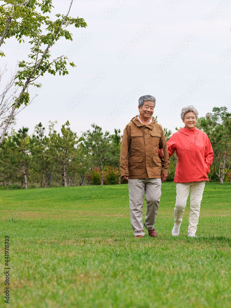 幸福的老夫妇在公园里散步