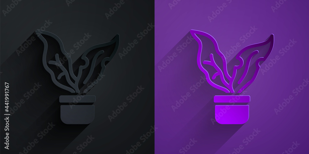 Paper cut Plant in pot icon isolated on black on purple background. Plant growing in a pot. Potted p