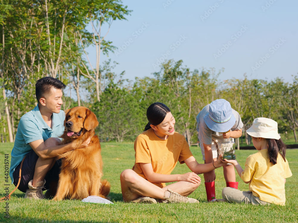 快乐的四口之家和在公园玩耍的宠物狗