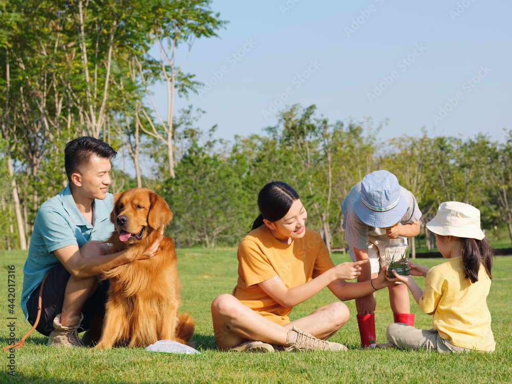 幸福的四口之家和在公园玩耍的宠物狗